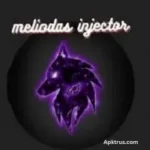 Meliodas Injector