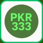 PKR333 Game