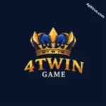 4Twin Game