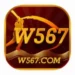 W567 Game