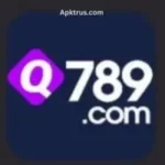 Q789 Game